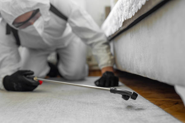Professional Bed Bug Control technician working in Hebbronville, TX