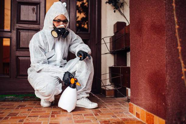 Reliable Bed Bug Control contractor in Hebbronville, TX by Nex Pest Control